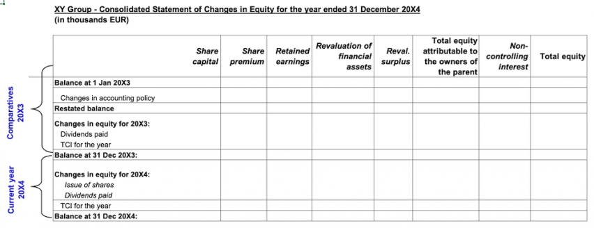 IFRS 18 Statement of Changes in Equity Blank